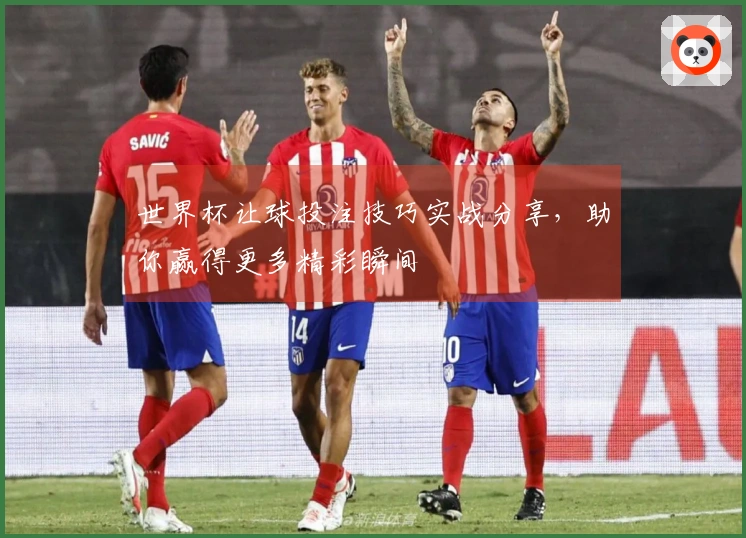 世界杯让球投注技巧实战分享，助你赢得更多精彩瞬间