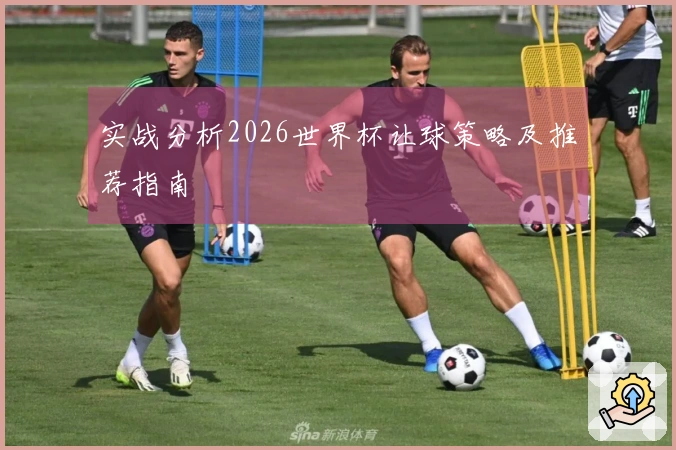 实战分析2026世界杯让球策略及推荐指南