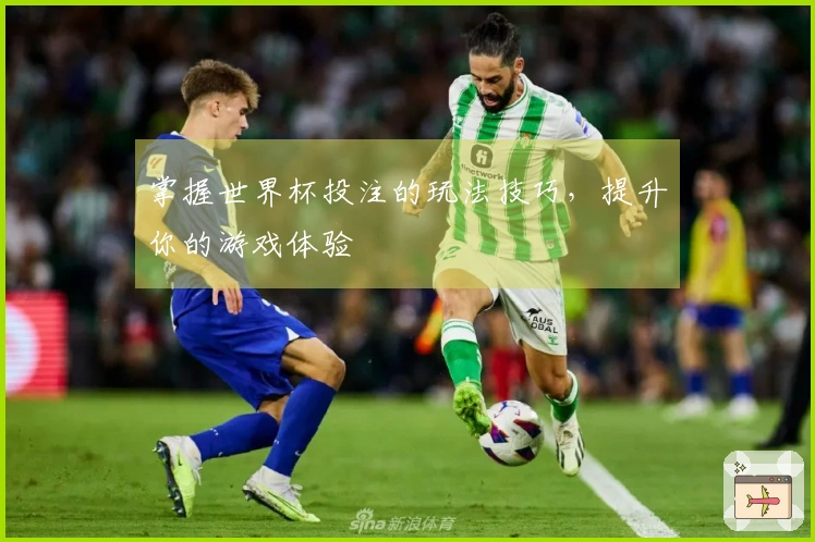掌握世界杯投注的玩法技巧，提升你的游戏体验
