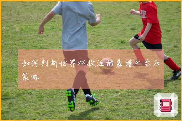 如何判断世界杯投注的靠谱平台和策略