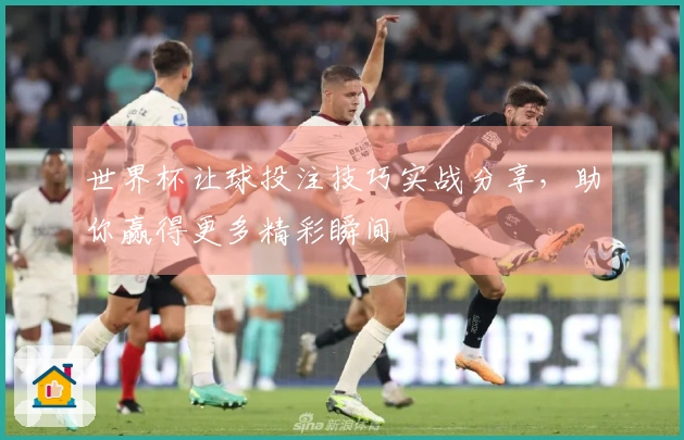 世界杯让球投注技巧实战分享，助你赢得更多精彩瞬间