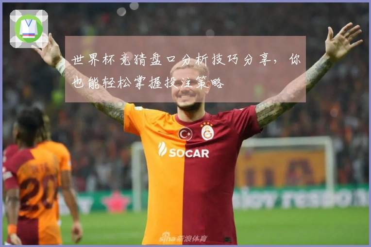世界杯竞猜盘口分析技巧分享，你也能轻松掌握投注策略