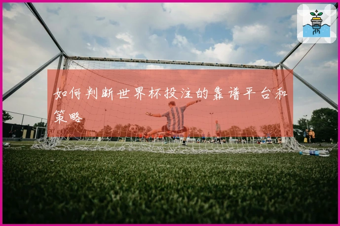 如何判断世界杯投注的靠谱平台和策略