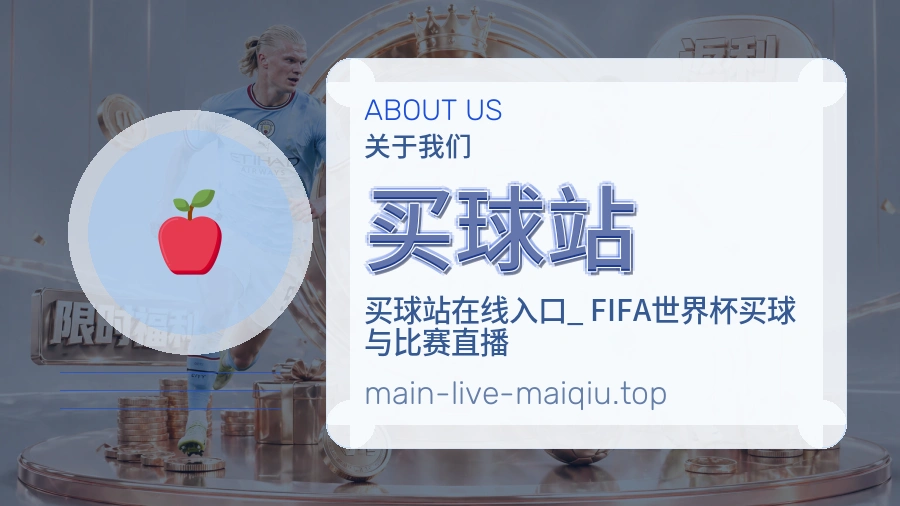 关于 买球站 团队与服务